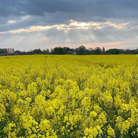 Casa Blanca Σπίτι διακοπών Göhren-Lebbin